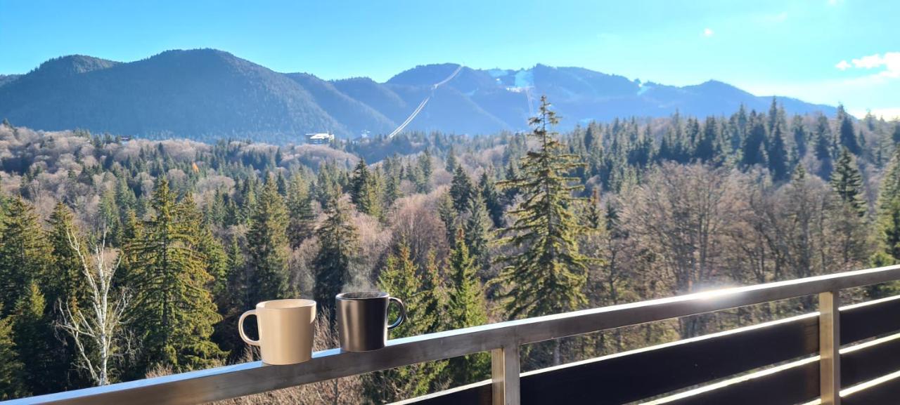 Silver Mountain Panoramic View C48 포이아나브라소프 외부 사진