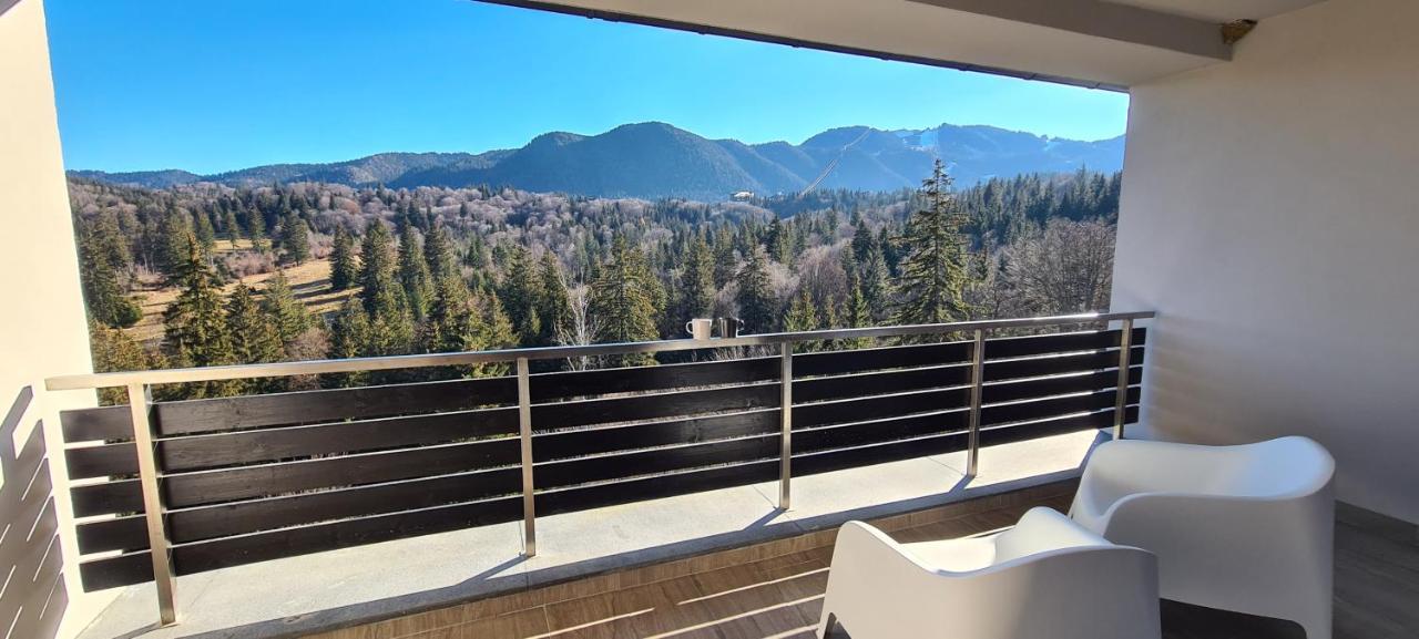 Silver Mountain Panoramic View C48 포이아나브라소프 외부 사진