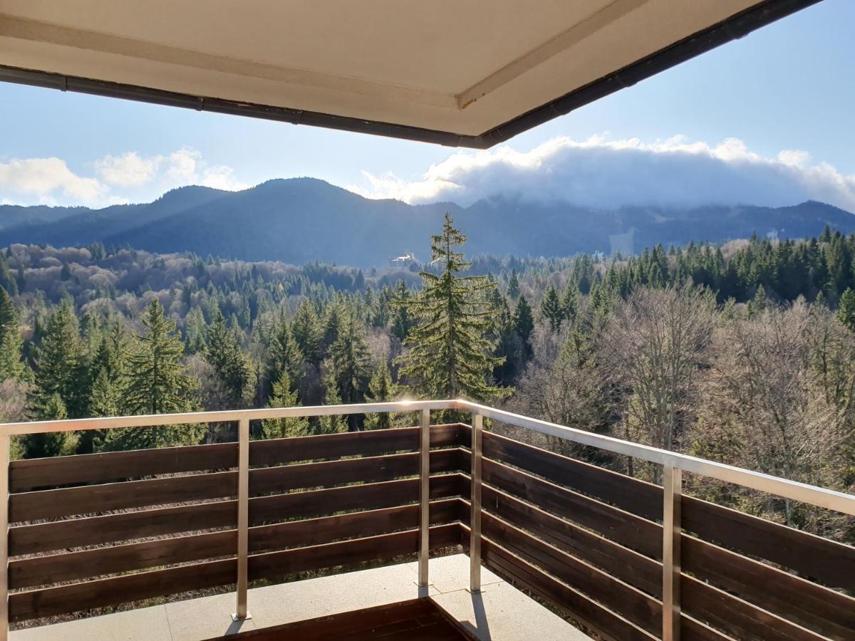 Silver Mountain Panoramic View C48 포이아나브라소프 외부 사진